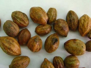 ڭ�ӵĹ�Ч�����ü�����