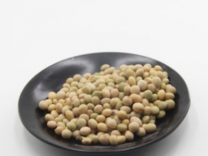 �����׷���ô�� ������������׷�