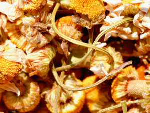 ��Щ����Ҫ����ҽ ��֪����