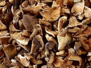 Ģ�����ɣ��Ĺ�Ч���� Ģ�����ɣ���ʳ�÷���