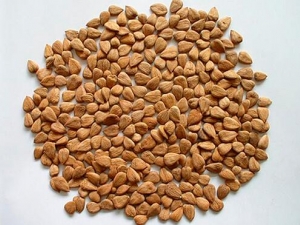 Ԥ������������ô�� ����˥�ϳ�ʲô