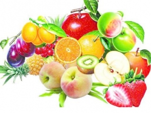 ����Σ���������� ��ʲô������������