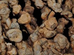 ����ľ�Ĺ�Ч������ ����ľ�ĸ���