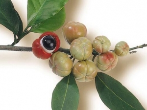 �����ɵ�Ӫ����ֵ����Ч