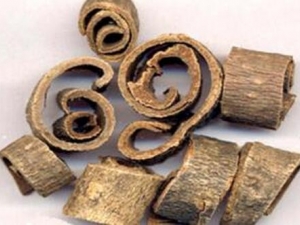 ���ӵ������빦Ч