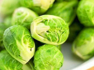 ���Ӹ�����Ӫ������ ���Ӹ�����������Ⱥ