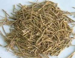 ������Ĺ�Ч���� �����������ʲô��