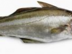 ����Ĺ�Ч���� �����ʳ�÷���