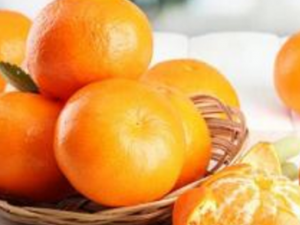 ����Ӫ���ḻ �Ե�ʱ����ӵ�����Ŷ