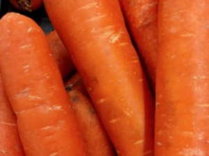 ���ܲ����ۻ��� ά����A���ж�