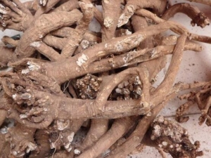 ������Ĺ�Ч�����ü�����