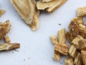 �Ӽ���ި���Ĺ�Ч �Ӽ���ި�����鷽