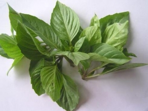 �𲻻��Ĺ�Ч�����ü�����