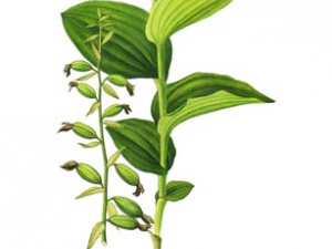 �׻����Ĺ�Ч �׻������β��鷽