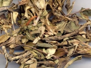 ������������ ����������Ч ����������������