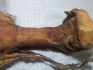 ���ǵĹ�Ч�����ü�����