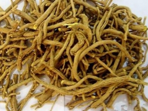 ��ʥɢ���� ��ʥɢ��Ч ��ʥɢ��������