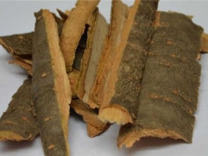 ������Ƥ�Ĺ�Ч������ �����̵ ֹ��ƽ��