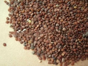 �����ӵĹ�Ч�����ü�ʳ�÷���