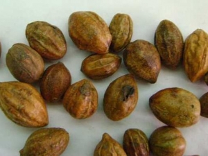 ڭ�ӵĹ�Ч�����ü��÷�����