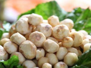 ��������Ϻ������� ��������Ϻ������ô����