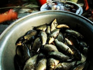 ����Ԫ������� ����Ԫ������ô����