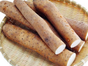 ������ɽҩ������ ������ɽҩ������