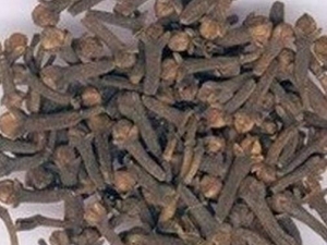 ����֦�Ĺ�Ч���� ����֦�÷�����