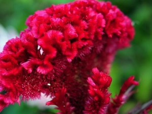 ���ڻ��Ĺ�Ч�����ü�����