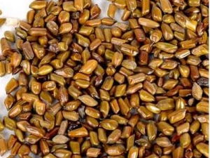 �����ӵĹ�Ч�����ü�����