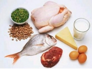 ���Ԥ��ʳ����� ���������ʳ����̵�