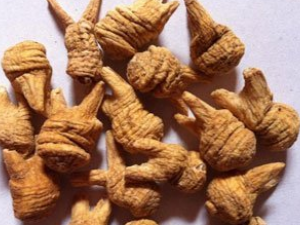 Ϭ�ǵػ����Ĺ�Ч Ϭ�ǵػ��������