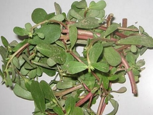 �������������� Ԥ����кС��ʶ