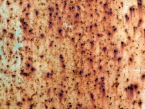 ����Ĺ�Ч�����ü�����