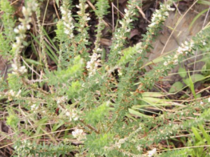 �뱣��Ƥ��ʪ�������������� С����������ʳ��