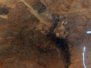 �������̲����� ��Щ����ʳ���������̲���