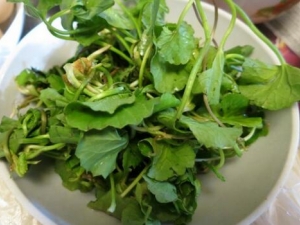 ����Ҷ�Ĺ�Ч������ ����ɢ��