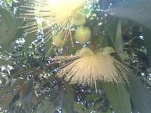 ���糵�Ӹ��Ĺ�Ч������ ������ʪ