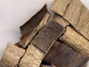 ��λ�������ɤ�Ӹ���ʹ С�������ʮ��Сƫ��