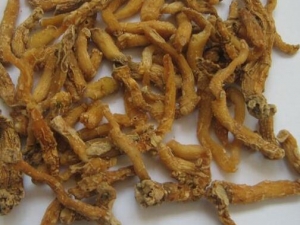 ����Ĺ�Ч�����ü�����