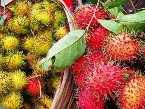 ��ë����Ӫ����ֵ ��ë����ʳ�÷��� ��ë����ѡ��