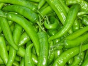 �⽷��Ӫ����ֵ �⽷��ʳ�÷���