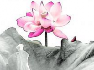 �������Ĵ��� �������Ĺ�Ч