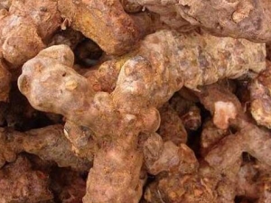 �����ߵĹ�Ч�����ü�����