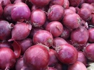 Σ�����ݽ�������Ϊ ��ʲô�����ݺ�