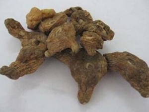 ��ζ���·����� ��ζ���·���Ч ��ζ���·���������