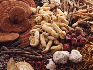 ��ҽҩ��ε����ǽ���