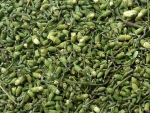 ���׵Ĺ�Ч�����ü�����