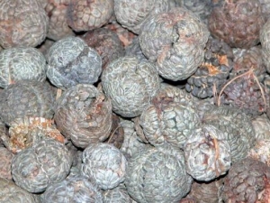 Ƣⶹޢ账 Ƣⶹޢ蹦Ч Ƣⶹޢ