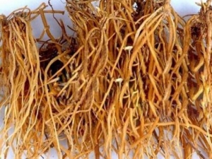 �����崦�� �����幦Ч �������������